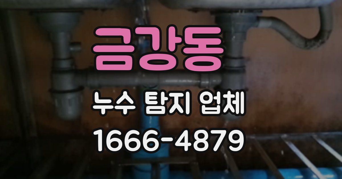 금강동 누수 탐지 업체