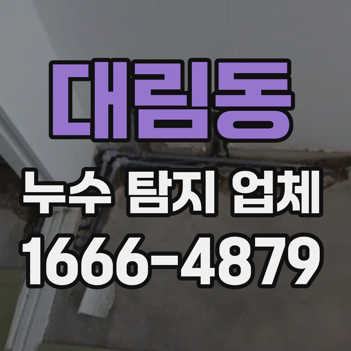 대림동 누수 탐지 업체
