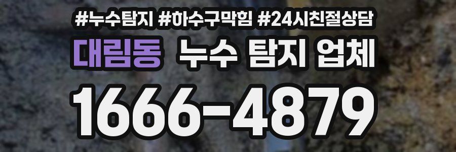 대림동 누수 탐지 업체