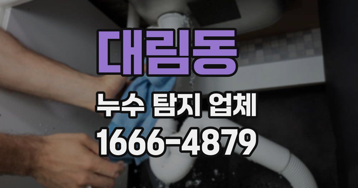 대림동 누수 탐지 업체