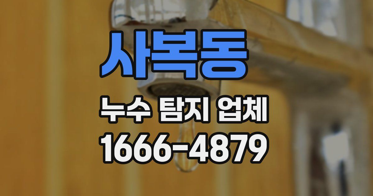 사복동 누수 탐지 업체