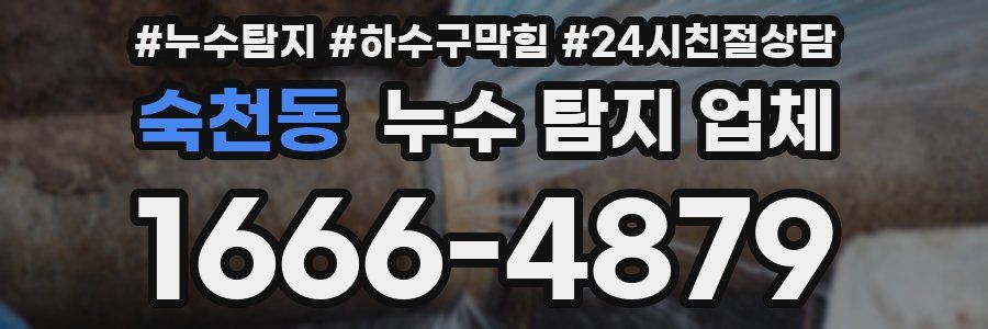 숙천동 누수 탐지 업체
