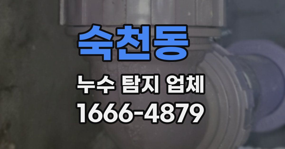 숙천동 누수 탐지 업체