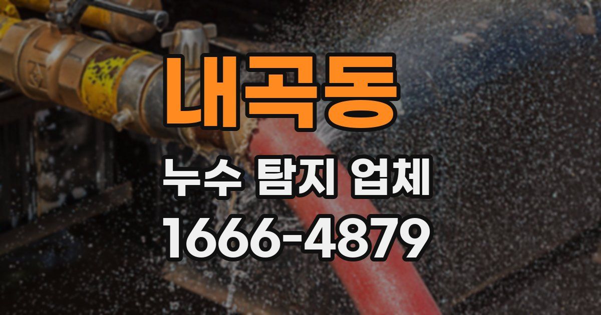 내곡동 누수 탐지 업체