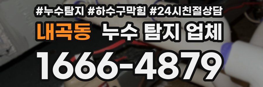 내곡동 누수 탐지 업체