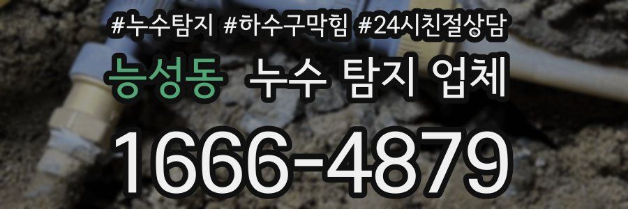 능성동 누수 탐지 업체