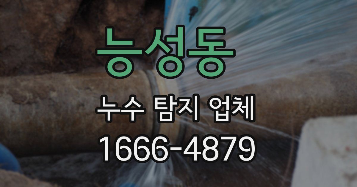 능성동 누수 탐지 업체