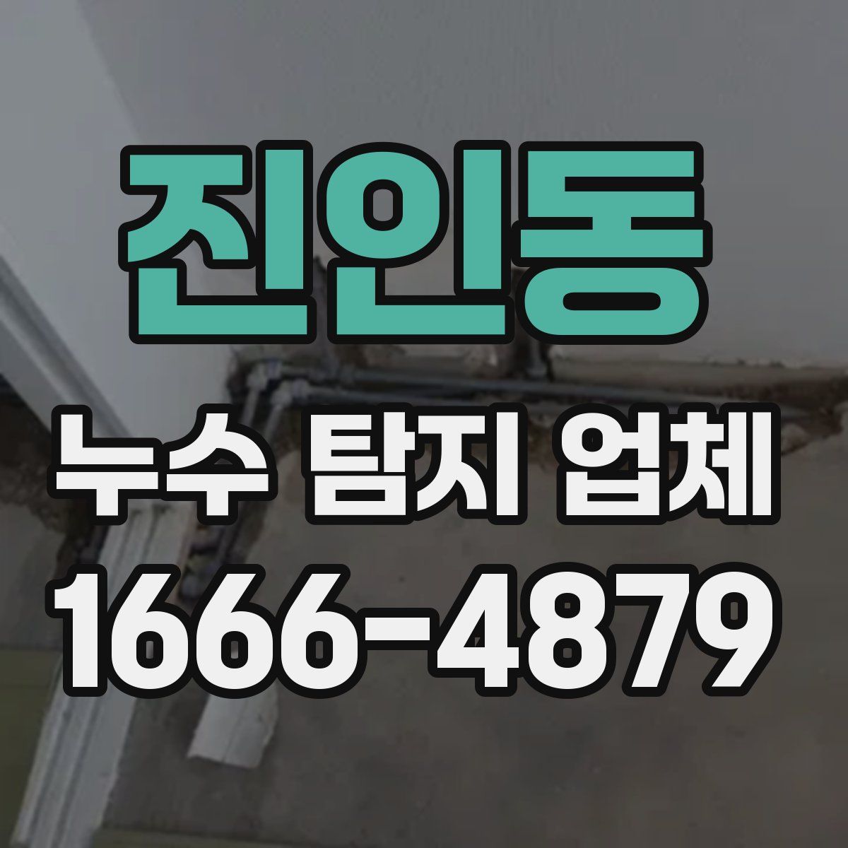 진인동 누수 탐지 업체