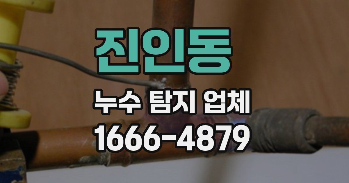 진인동 누수 탐지 업체