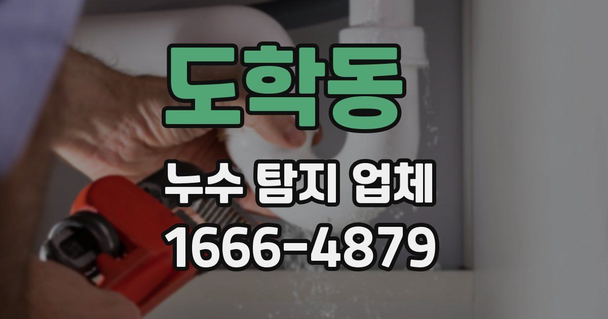 도학동 누수 탐지 업체