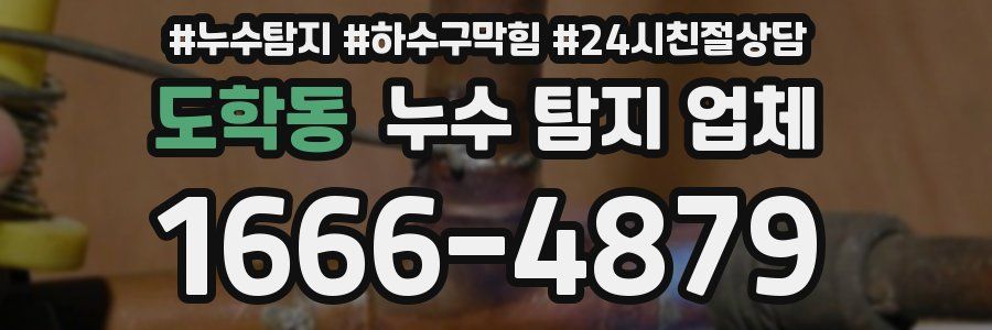 도학동 누수 탐지 업체