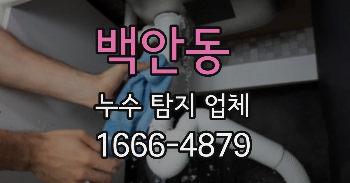 백안동 누수 탐지 업체