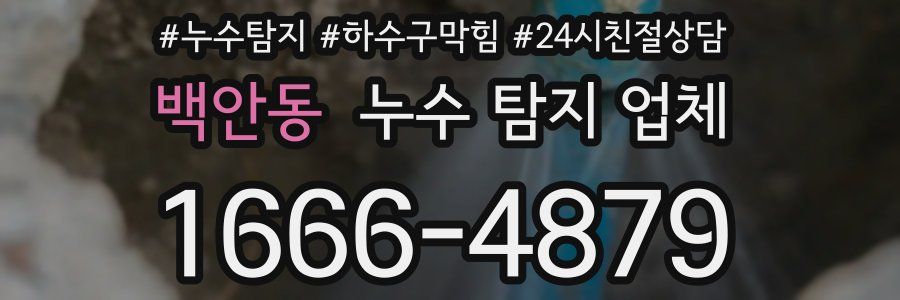백안동 누수 탐지 업체
