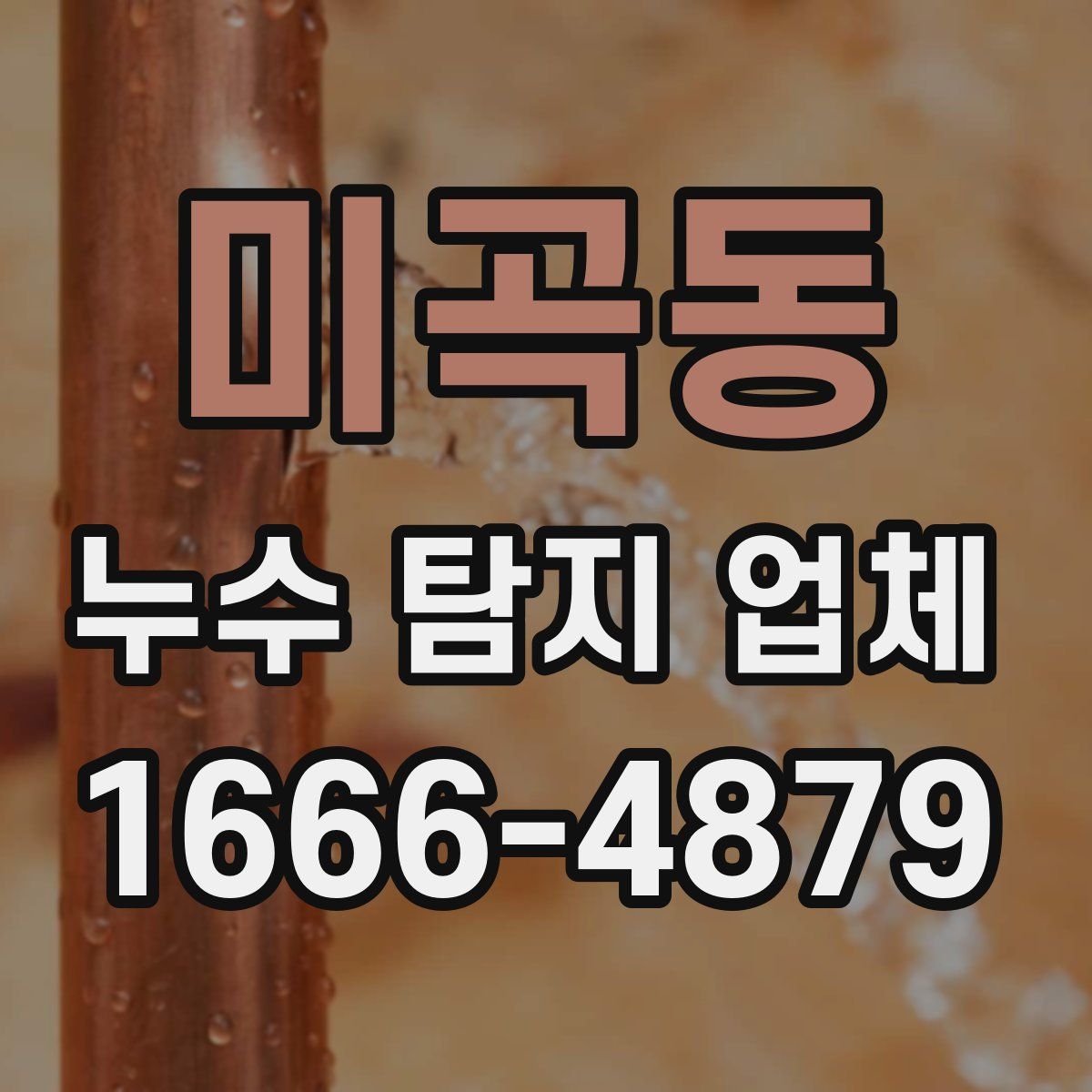 미곡동 누수 탐지 업체