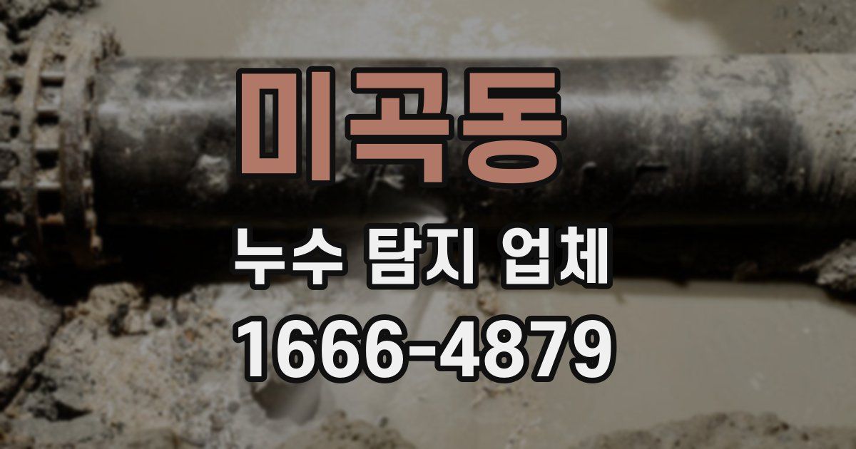 미곡동 누수 탐지 업체