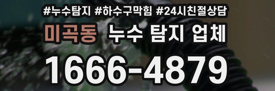 미곡동 누수 탐지 업체