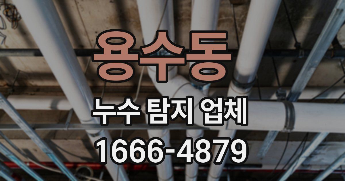 용수동 누수 탐지 업체
