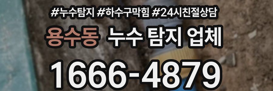 용수동 누수 탐지 업체