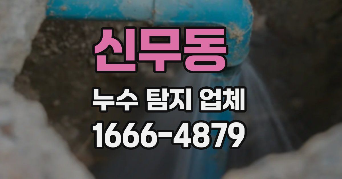 신무동 누수 탐지 업체