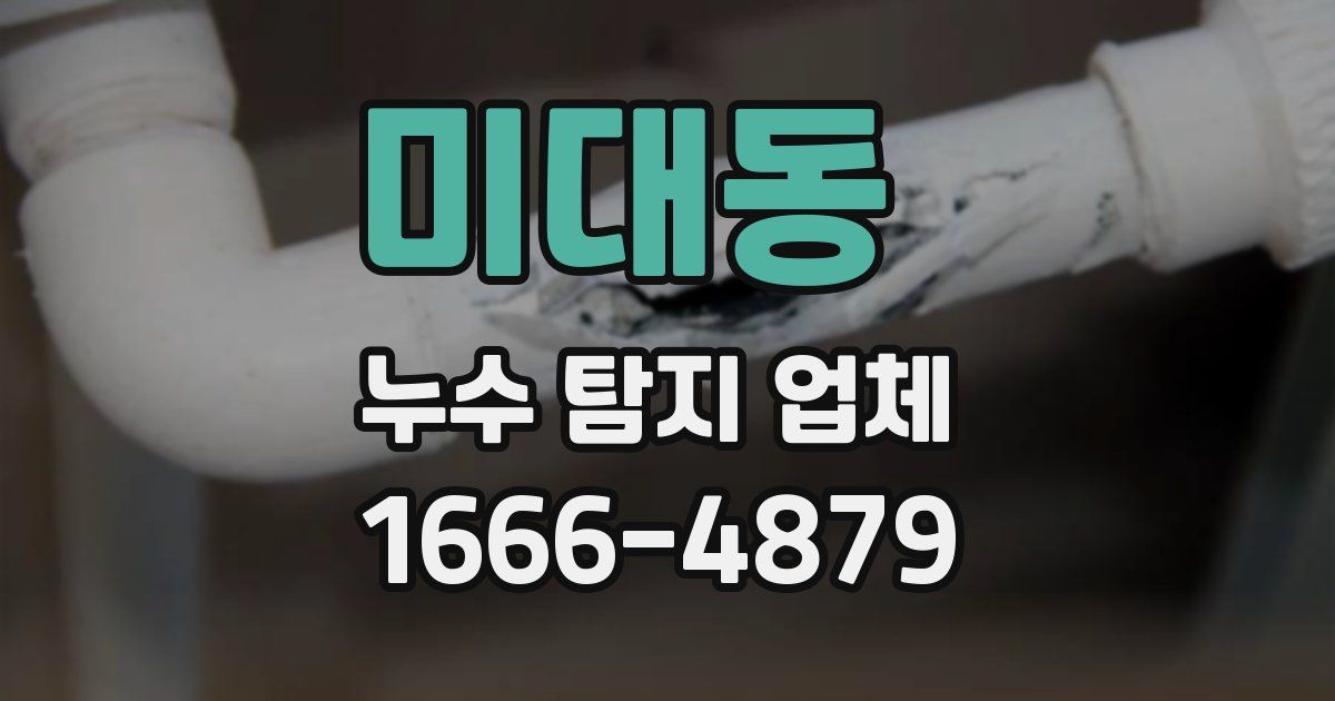 미대동 누수 탐지 업체