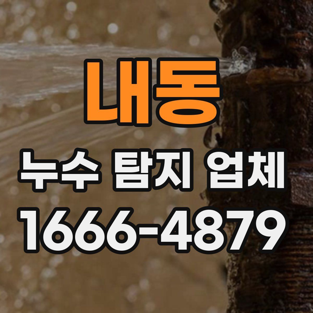 내동 누수 탐지 업체