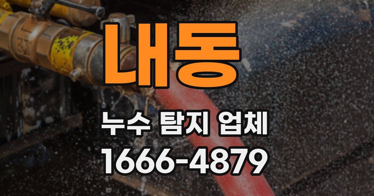 내동 누수 탐지 업체