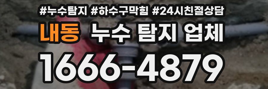 내동 누수 탐지 업체