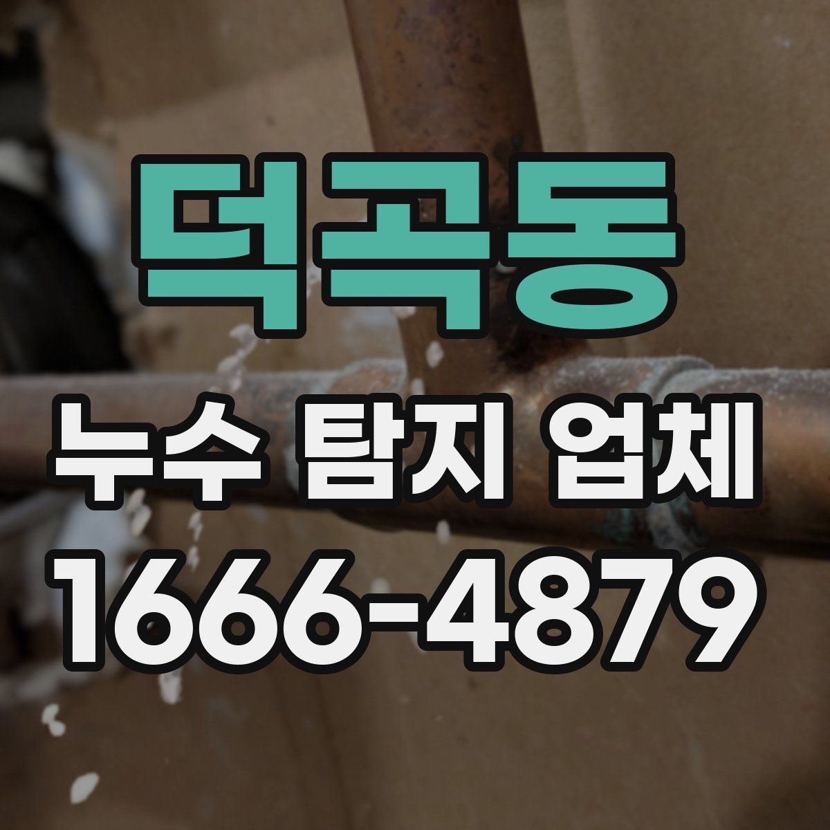 덕곡동 누수 탐지 업체