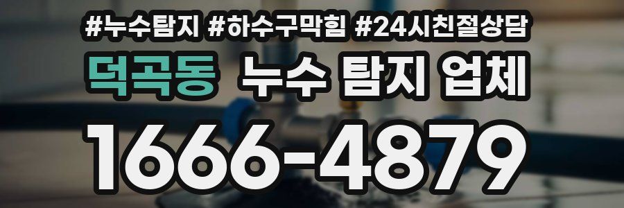 덕곡동 누수 탐지 업체