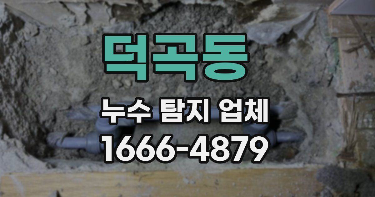 덕곡동 누수 탐지 업체