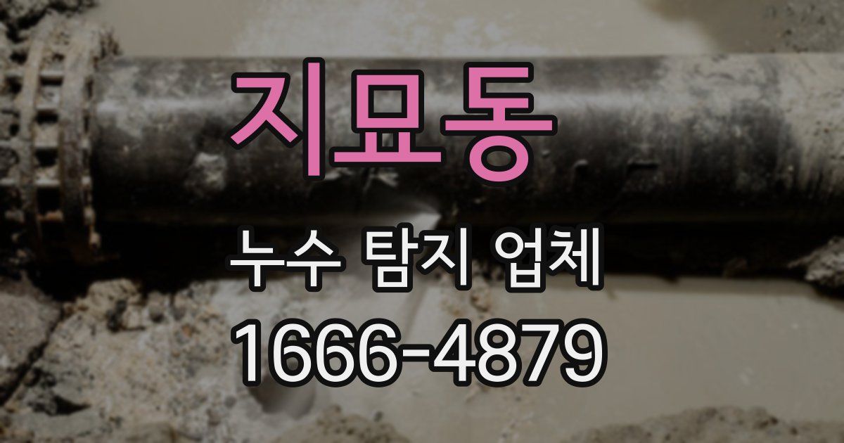 지묘동 누수 탐지 업체
