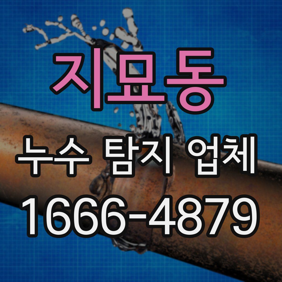 지묘동 누수 탐지 업체