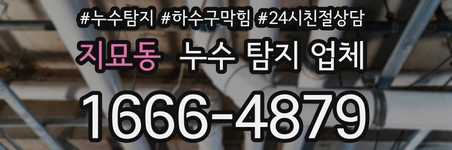 지묘동 누수 탐지 업체