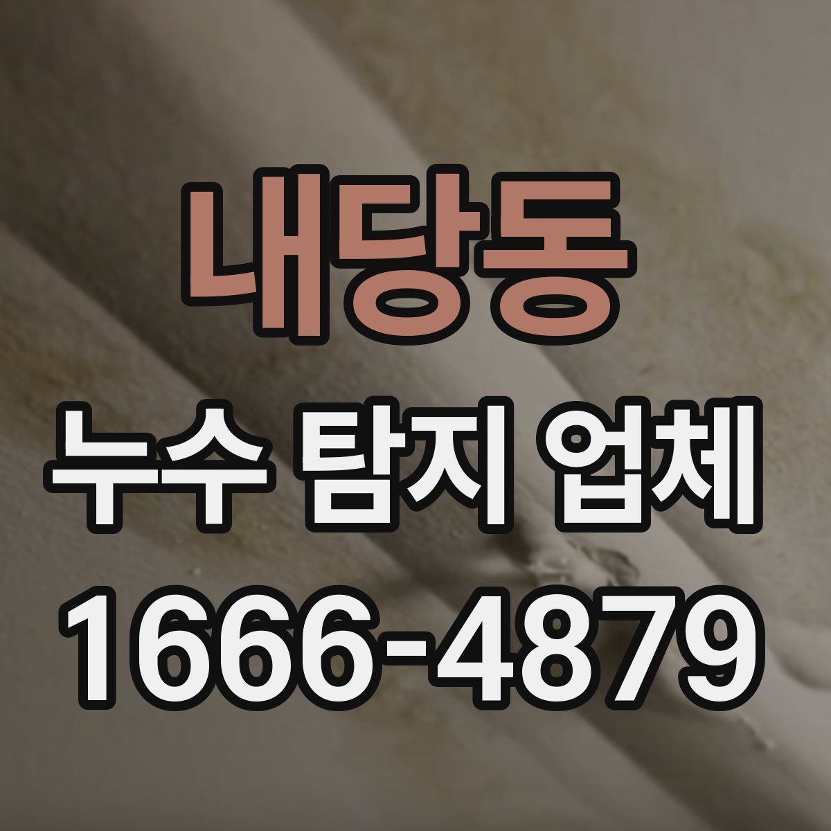 내당동 누수 탐지 업체