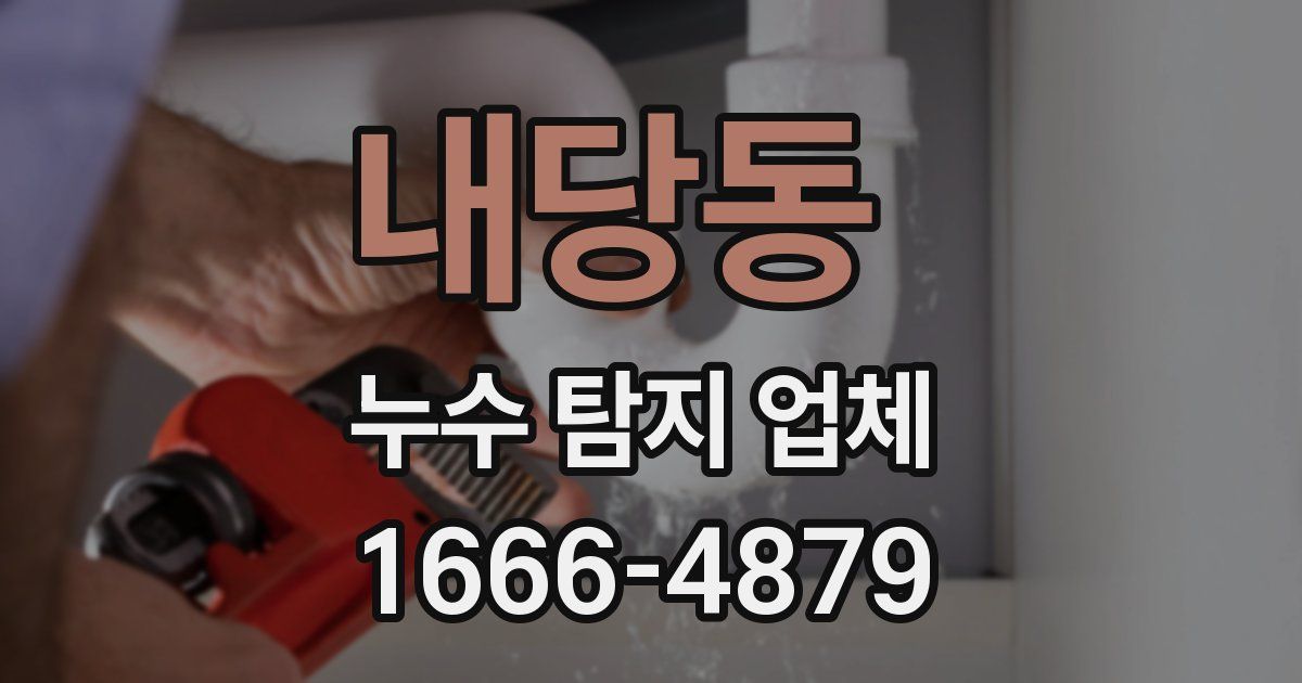 내당동 누수 탐지 업체