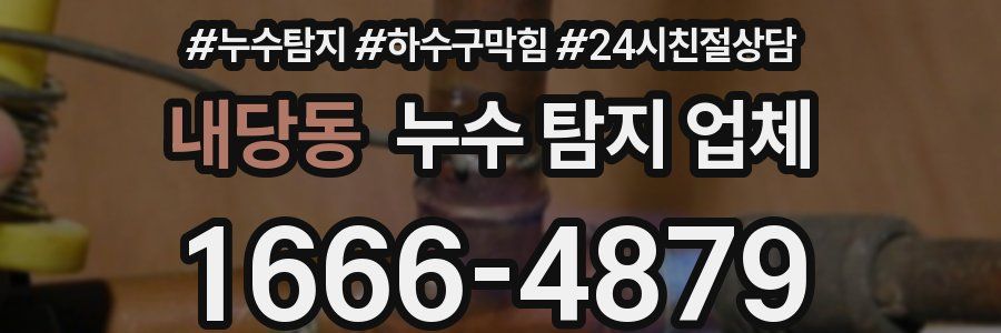 내당동 누수 탐지 업체
