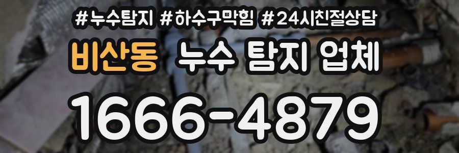 비산동 누수 탐지 업체