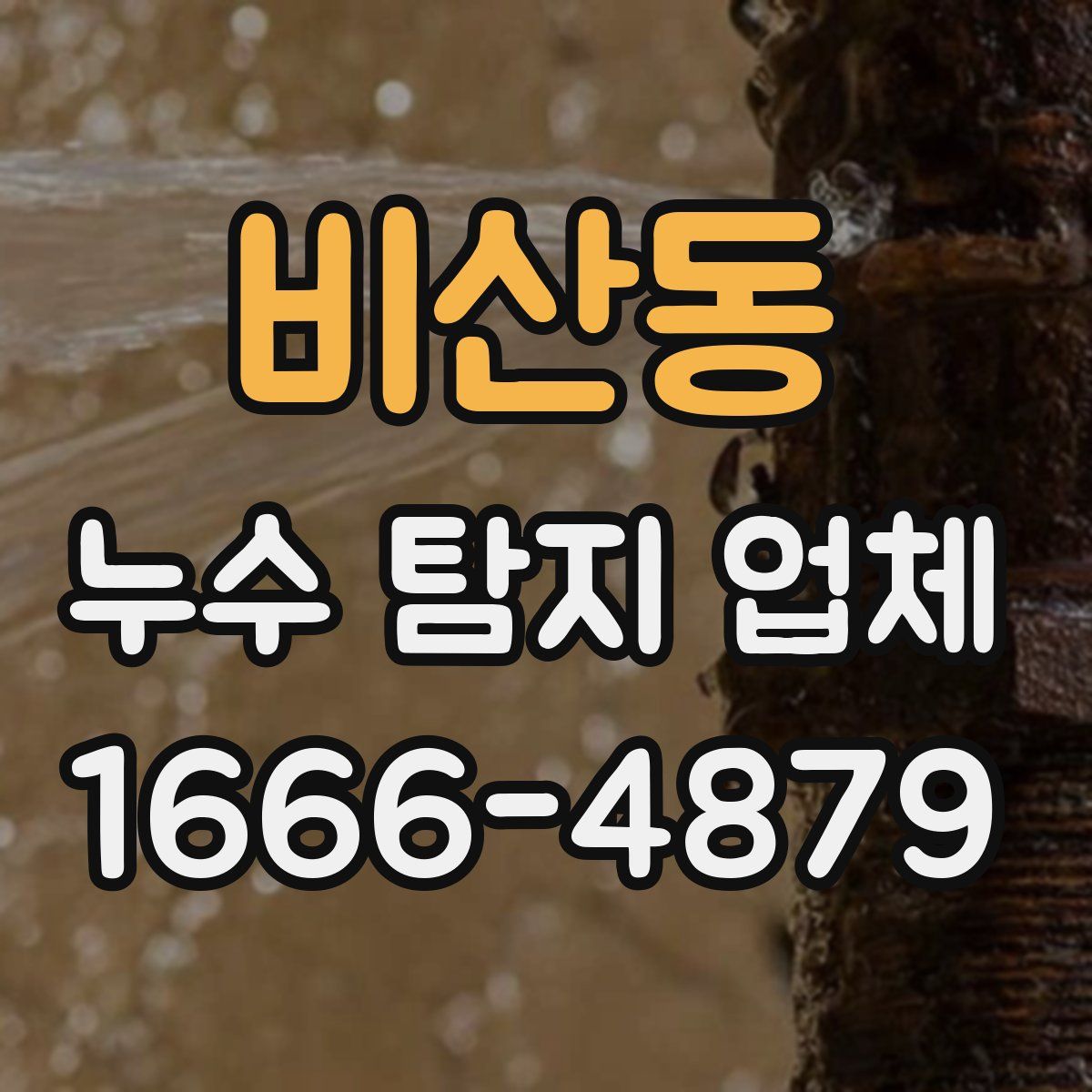 비산동 누수 탐지 업체