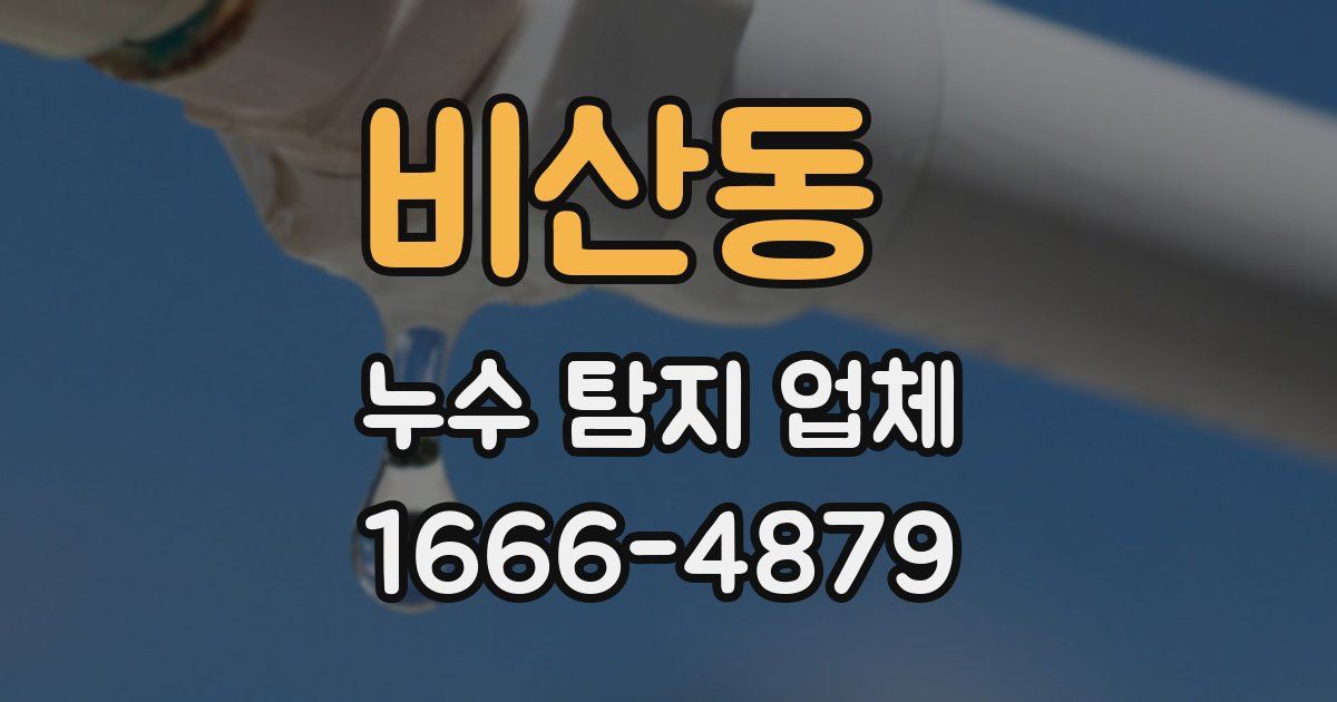 비산동 누수 탐지 업체