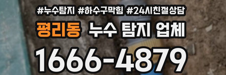 평리동 누수 탐지 업체