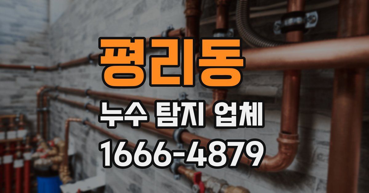 평리동 누수 탐지 업체