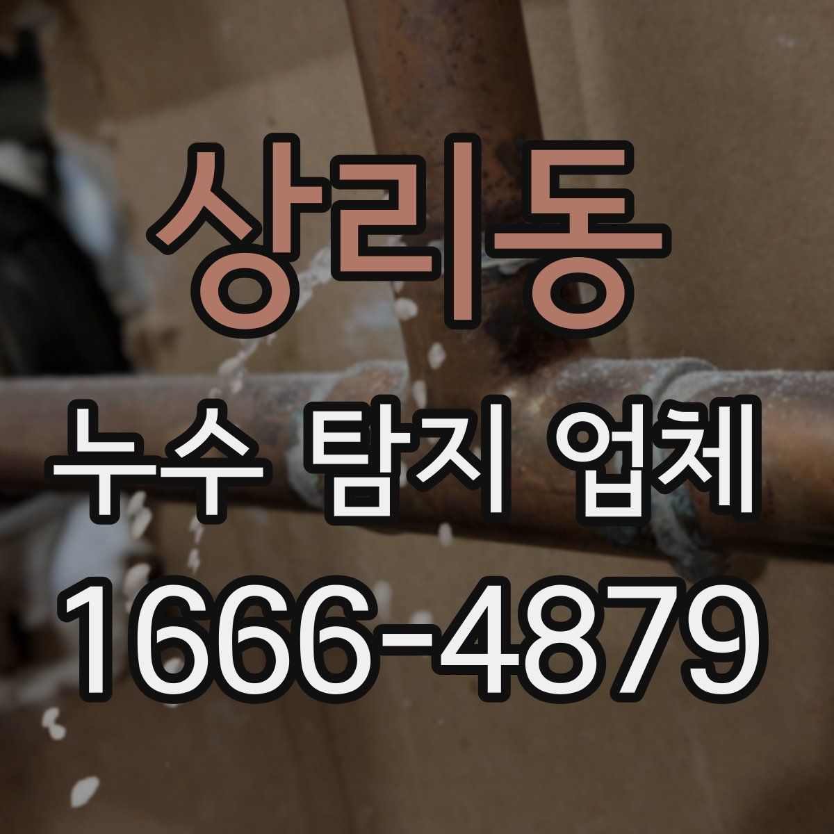 상리동 누수 탐지 업체