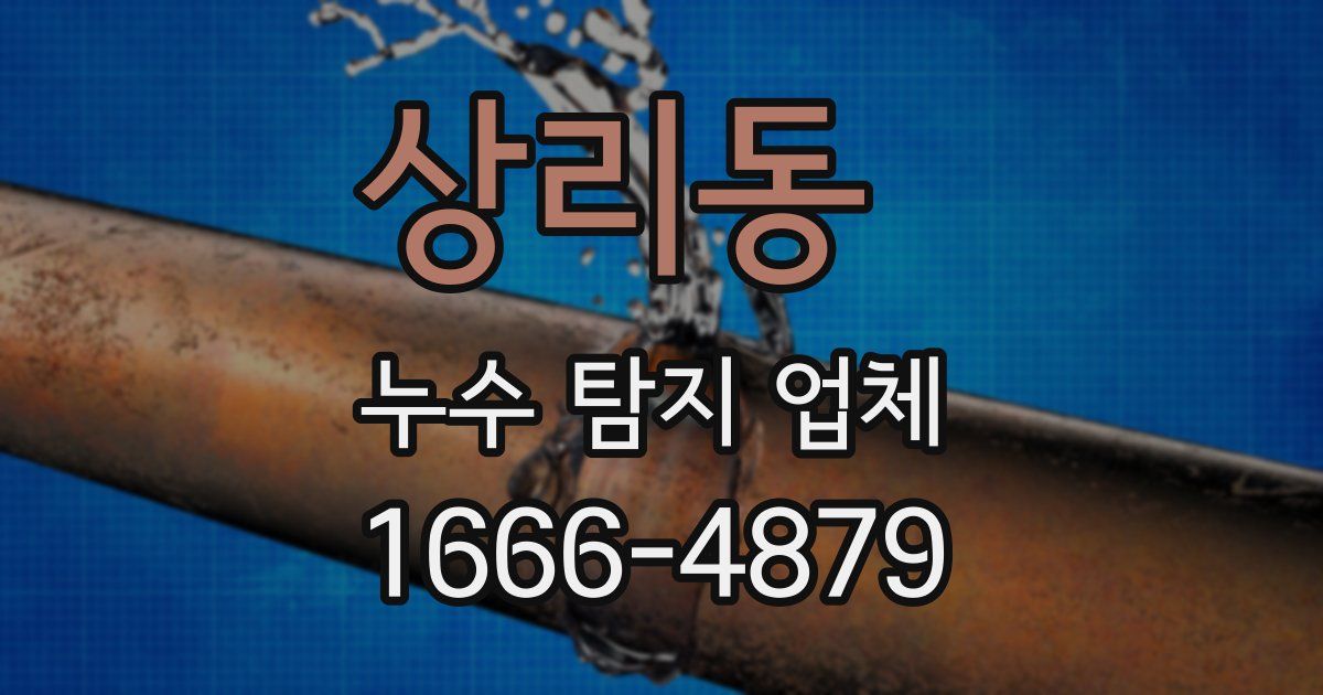 상리동 누수 탐지 업체