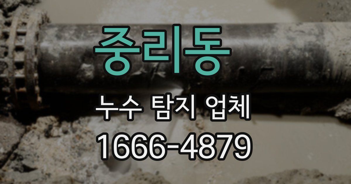 중리동 누수 탐지 업체