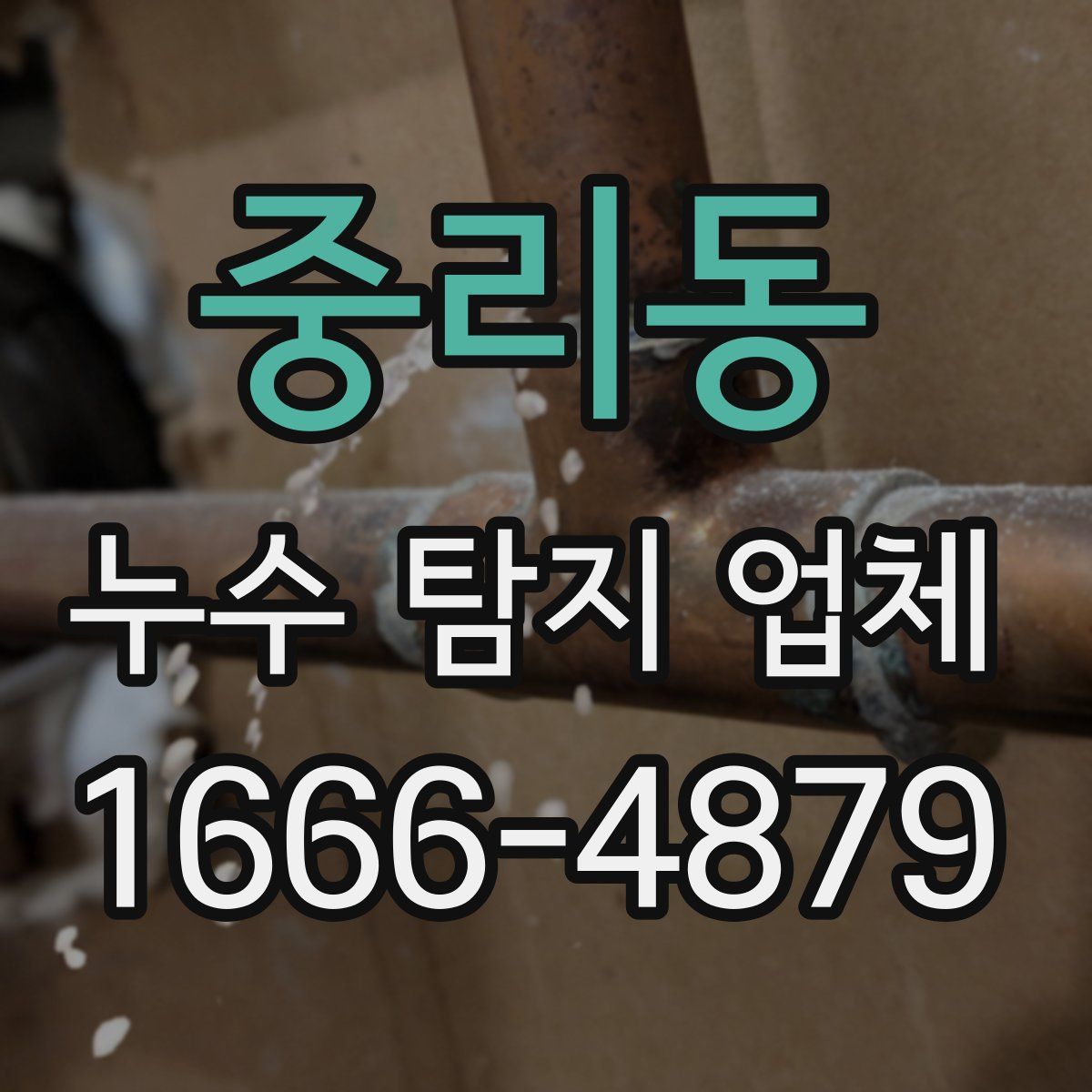 중리동 누수 탐지 업체