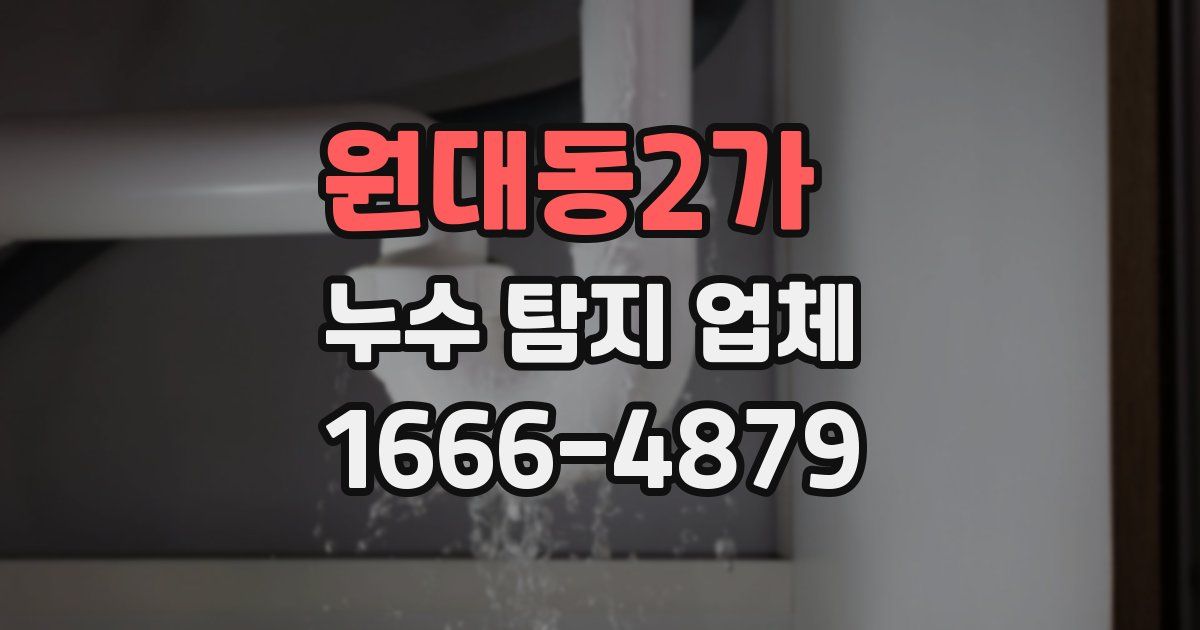 원대동2가 누수 탐지 업체
