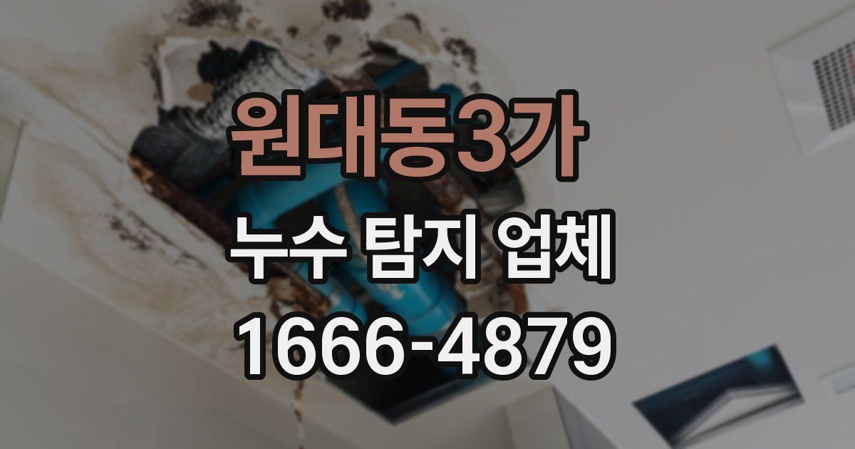 원대동3가 누수 탐지 업체