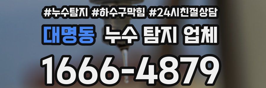 대명동 누수 탐지 업체