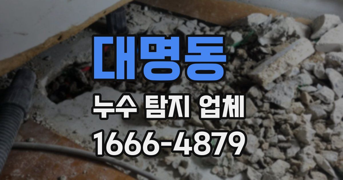 대명동 누수 탐지 업체
