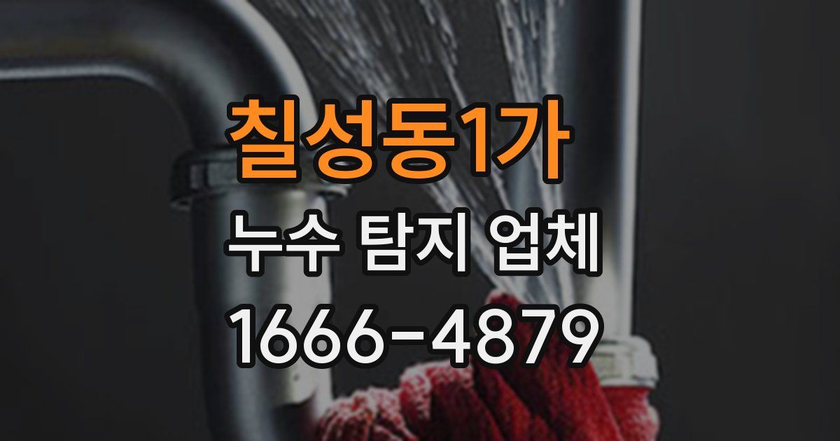 칠성동1가 누수 탐지 업체